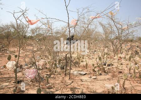 Déchets et sacs en plastique piégés dans des buissons épineux à la périphérie d'Uribia, la capitale indigène du pays, département de la Guajira, Colombie. Banque D'Images