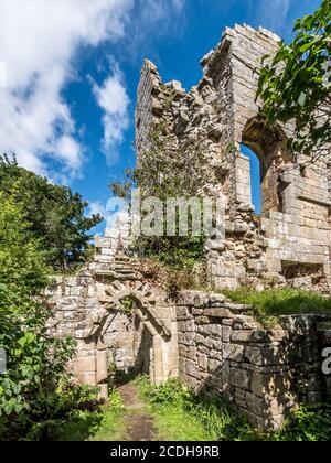 C'est les ruines du monastère cistercien du 11-12ème siècle De l'abbaye de Jervaulx dans les Dales du Yorkshire du Nord près de Village d'East Witton Banque D'Images