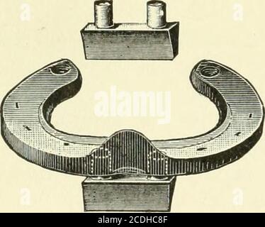 . Un livre de texte de fers à cheval, pour les fers à cheval et les vétérinaires . Biseautée à bout calk. (Alésage.) N° 1 de la société de Branscheid & Philippi, de Rem-scheid. Figure 173.. Cale-orteils de la pelle. Figure 174. Banque D'Images