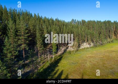 Vue aérienne de la forêt et de la tourbière de la taïga du pin européen ( pinus sylvestris ) poussant à l'esker glaciaire à l'été , Lintharju , Finlande Banque D'Images