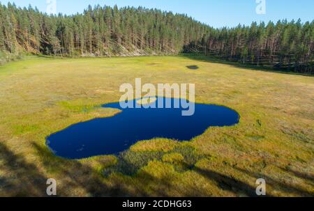 Vue aérienne des eskers glaciaires qui poussent des pins (Pinus sylvestris) , petit lac surcultivé se transformant en tourbière, Lintharju , Finlande Banque D'Images