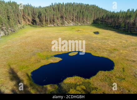 Aérienne d'eskers glaciaires avec des pins ( Pinus sylvestris ) , petite tourbière de lac surcultivée au milieu des eskers de la forêt de taïga , Lintharju , Finlande Banque D'Images