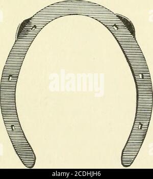 . Un livre de texte de fers à cheval, pour les fers à cheval et les vétérinaires . A plaque de course avant, surface de l'onglons. Figure 127. Une plaque de course avant, surface du sol. Figure 128.. Banque D'Images