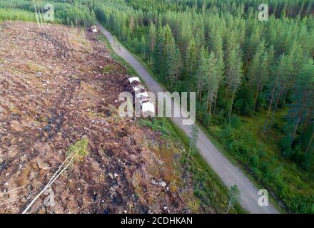 Vue aérienne d'une route forestière dans la forêt et d'une zone de coupe à l'été, Finlande Banque D'Images