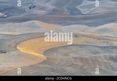 Palouse Fields en novembre, Australie occidentale Banque D'Images