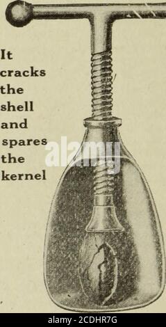 . Cuisine américaine . La voie lactée vers l'économie 52 pages. Plus de 200 recettes, de la soupe à la confiserie UN symposium sur le lait par le Dr E. V. McCallum, le Dr F. A. Woodsand autres autorités chargées de l'équipement. Réimpressions des bulletins gouvernementaux et des modèles de repas pour enfants. PAR LA POSTE 25c. Adresse : Gertrude Ford Daniel, 51 Oliver Street, Boston. CASSE-ÉCROU IDÉAL * fissure n'importe quel écrou d'une torsion du poignet. Fait sortir les noyaux entiers. Particulièrement bon pour les pacanes, les noix de Grenoble anglaises, les noix du Brésil, les filberts et les amandes. Si votre revendeur ne porte pas, l’IDEAL écrire usstyle 1. Nickel simple C/^C plaqué . s-}V»/ style 4. Très p Banque D'Images