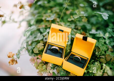 Deux boîtes jaunes avec anneaux de mariage sur un fond de plantes vertes. Banque D'Images