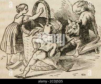 . La tante noire. Histoires et légendes pour les enfants . pedler. L'homme a vu howthis était et ainsi son aversion pour casse-noisette a augmenté moreet plus. 110 mais Sugardolly aimait Nutcracker beaucoup pour le hewa son compagnon constant tant quand leurs parents étaient partis et quand ils étaient à la maison, et était toujours bon et gentil à elle, toujours protégé contre le danger et tout a fait pour lui plaire. Whenshe dansa et le chien survolté du colporteur de noix essaya de la faire monter, il le ramena toujours avec son espadon et quand il pleuvait de portes, il volait dans le jardin pour^V/?231l^* obtenir un flux doux-e Banque D'Images