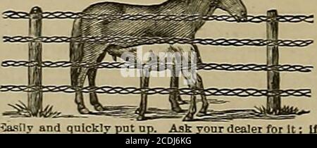 . Éleveur et sportif . ueuuume seulement avec KED B%EL brautl recommandé par;Goldsmith,;Marvin,iGamble, Wells, F^rgo fc;Co.,etc, etc. Il garde les chevaux et le bétail en bonne santé. Pour les vaches de lait il augmente et enriche*i leur lait. EST UN EXCELLENT STJBSTITCTE POUR (JRASV6*3 HOWARD STRERT. fnl. Man. FranelMm. PRESSION Banque D'Images