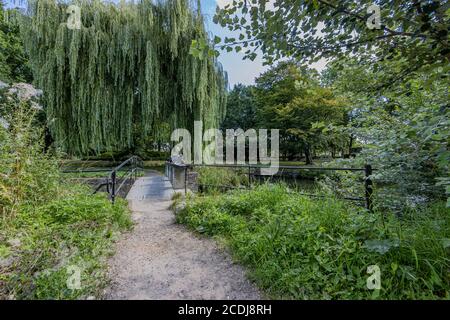 Chemin de terre se dirigeant vers le pont au-dessus du barrage et Sluice dans le ruisseau Keutelbeek avec un énorme arbre de pleuring en arrière-plan dans le parc de la ville Banque D'Images