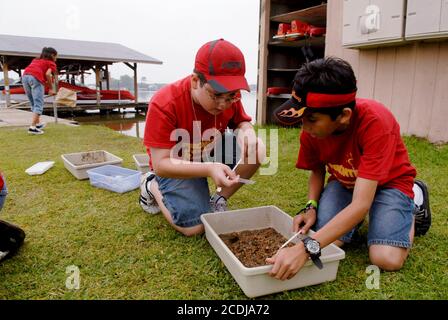 Granite Shoals, TX, États-Unis, 1er mai 2007 : des étudiants hispaniques de 12 et 13 ans de L'IDEA Academy, une école de charte publique de Brownsville, font l'expérience d'un camp d'éducation de plein air de trois jours pour favoriser le leadership et la croissance personnelle. Les élèves recherchent des insectes et des insectes dans des échantillons d'eau de lac pour déterminer les niveaux de pollution. ©Bob Daemmrich Banque D'Images