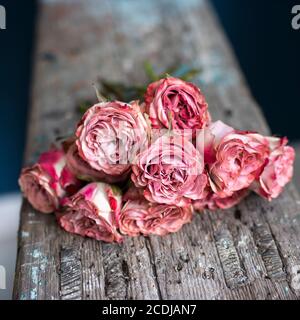 Un bouquet de roses rouges de la couleur du cappuccino se trouve sur la surface en bois mangée du banc. Ces roses Cappuccino sont si intéressantes avec Banque D'Images