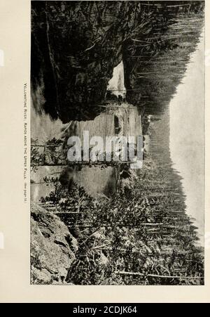 . Rapport des explorations dans le Colorado et l'Utah au cours de l'été 1889 : avec un compte rendu des poissons trouvés dans chacun des bassins fluviaux examinés . très grande variation individuelle est montrée. Le touladi du lac Heart et du lac Henrys sont essentiellement comme d'autres de Walla Walla à ce sujet, et ceux de Yellowstone en dessous des chutes ont les taches generallysmaller que dans ceux du lac. La truite de la région du Missouri supérieur a reçu le nom de Salmo lewisi Girard, mais je ne peux pas reconnaître S. lewisi comme étant evenvarietally distinct de 8. Mykiss. En fait, comme indiqué ailleurs dans TH Banque D'Images