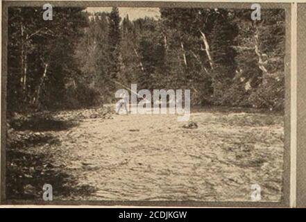 . Voyage janvier 1915 . Dirondack Mountains. Comfortablehotels restent ouverts, et un voyage à travers les forêts enneigées à des points tels que ceux-ci est une révélation. Pour ceux qui préfèrent les reions plus sauvages du nord, Big Moose; Fulton Chain et long Lake offrent de nombreuses attractions. En allant vers le sud le long de la côte atlantique, on trouve Atlantic City hos-pitable même en hiver, et Old point Comfort, plus au sud, profitant de la vie pleine. En Caroline du Nord, il y a du golf, de l'équitation et de l'automobile à Pinehurst, et dans le pays du ciel autour d'Asheville. Au Moyen-Orient plusieurs années autour re-s Banque D'Images