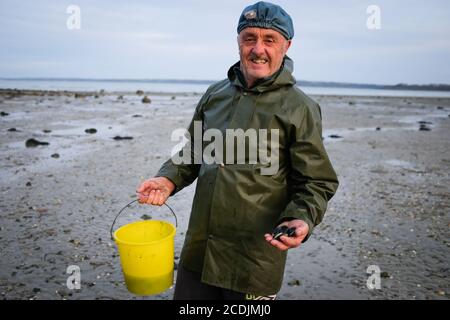 Cueillette de mollusques dans la baie de Saint-Brieuc (baie de Saint-Brieuc), Saint-Brieuc, Bretagne, France. Banque D'Images