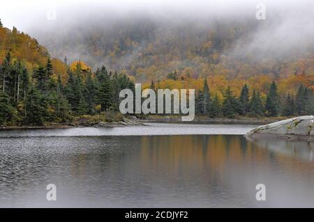 Scène tranquille de la Nouvelle-Angleterre. Brouillard matinal et reflets des couleurs de l'automne sur le paisible Beaver Pond dans le Kinsman Notch New Hampshire. Banque D'Images