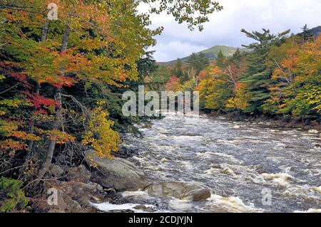 Automne dans les White Mountains du New Hampshire. Rivière Pegewegasset à écoulement rapide avec rapides, montagne lointaine et feuillage d'automne coloré le long de la rive. Banque D'Images