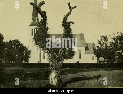 . Vignes et comment les cultiver; un manuel de plantes grimpantes pour les effets de fleurs, de feuillage et de fruits, à la fois ornementales et utiles, y compris les arbustes et formes similaires qui peuvent être utilisés comme vignes . Plaque XXXI. Boston Ivy est la réserve pour les bâtiments en briques, mais il est tout aussi réussi dans des endroits comme celui-ci Banque D'Images