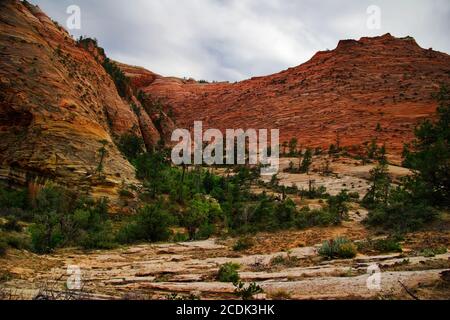 Pentes du canyon de Zion. Utah. ÉTATS-UNIS. Banque D'Images