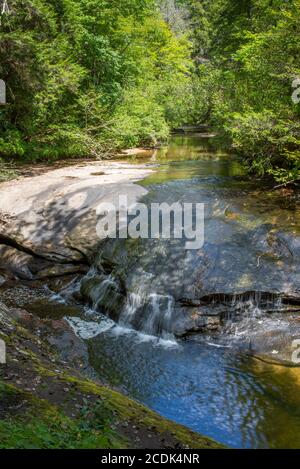 Eagle Creek, un petit ruisseau clair sous les chutes Cumberland sur la rivière Cumberland dans le sud-est du Kentucky. Banque D'Images