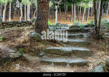 marches en pierre de granit au milieu d'une forêt de pins dans le parc national de guadarrama. Madrid. espagne. Banque D'Images