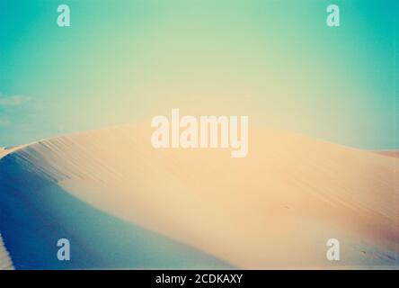 dunes du désert Banque D'Images