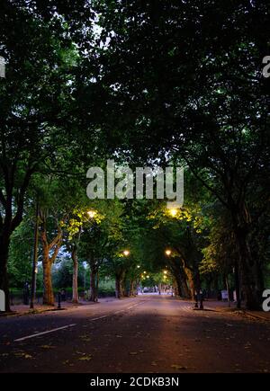 Un Kelvin Way vide, Glasgow, Écosse. (Août 2020) (juste à l'extérieur du parc Kelvingrove) Banque D'Images