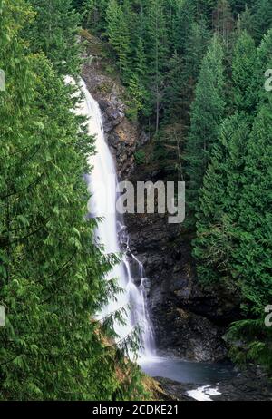 Middle Falls, parc national de Wallace Falls, Washington Banque D'Images