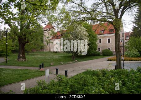Château gothique d'ordre teutonique à Paslek, Pologne. 24 mai 2020 © Wojciech Strozyk / Alamy stock photo Banque D'Images