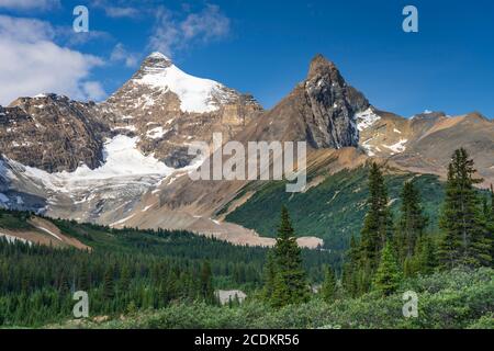 Parker Ridge, Icefields Parkway, parc national Banff, Alberta, Canada. Banque D'Images