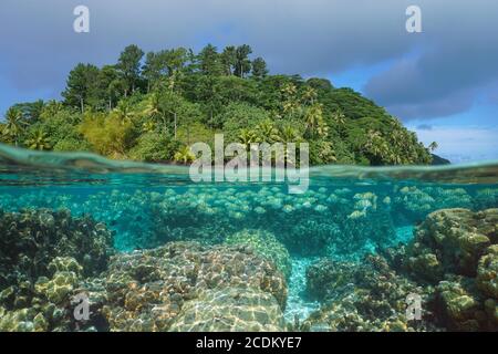 Paysage marin tropical, poissons avec récif de corail sous l'eau et île luxuriante, vue partagée sur la surface de l'eau, Polynésie française, océan Pacifique, Huahine Banque D'Images