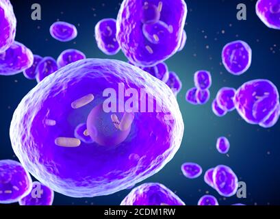 Illustration 3d de Pneumocystis jirovecii (anciennement appelé Pneumocystis carinii) champignon opportuniste ressemblant à une levure qui cause la pneumonie chez les patients infectés par le VIH. Banque D'Images