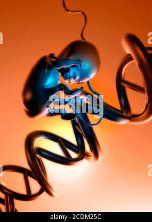 Le clonage humain, l'illustration conceptuelle. Banque D'Images