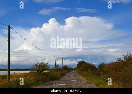 Tempête avec nuage d'enclume, un cumulonimbus, vu au-dessus d'Essex depuis Cliffe, nord du Kent, août. Pistes rugueuses et télégraphe/poteaux téléphoniques et fil menant à Banque D'Images