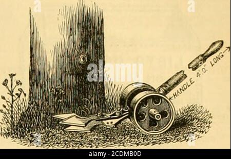 . La chronique des jardiniers et la gazette agricole . NS IRON WORKS, ARBROATH.LONDON OFFICE AND SHOW ROOMS, 27, LEADENHALL STREET, P. EX. 27, Leadenhall Street est le seul endroit m London où l'intention de Furchasers de Lawn Mowers peut choisir froma stock de front 150 à 200 machines. A. S. et SON ont un personnel de Workmen efficaces à 27, Leadenhall Street^connaissant parfaitement tous les détails de ces machines^ afin qu'ils soient en mesure de les réparer à Londres aussi bien que je puisse être fait à leur Manufactory. LES BOUTEILLES PATENTES DE CONCOMBRE sont maintenant prêtes, nnd peut être obtenu des AODts LondoD ;—M. Bourrage Banque D'Images