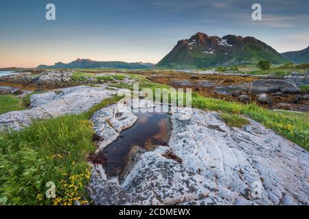 Côte rocheuse avec herbe et algues, derrière les montagnes Lofoten, Valberg, Lofoten, Nordland, Norvège Banque D'Images