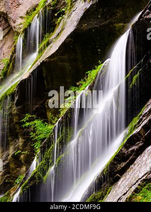 Cascade sur le front de roche de la mousse, Wimbachklamm, Wimbachtal, Parc national de Berchtesgaden, Ramsau, Berchtesgadener Land, haute-Bavière, Bavière, Allemagne Banque D'Images