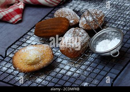 Madeleines classiques sur grille à gâteau et sucre glace dans le tamis, Allemagne Banque D'Images