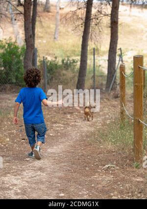 garçon court en descente jouant et chassant son chien sur la terre route dans un parc dans la forêt Banque D'Images