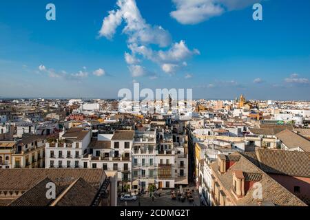 Vue sur la ville, vue sur la vieille ville depuis la tour la Giralda, la cathédrale de Séville, Séville, Andalousie, Espagne Banque D'Images