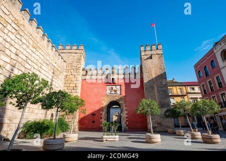 Puerta del Leon, Real Alcazar de Sevilla, Séville, Andalousie, Espagne Banque D'Images
