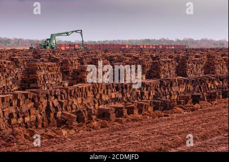 Accumulation de boues de tourbe dans la tourbière, extraction de tourbe avec pelle hydraulique, stockage de CO2, Goldenstedter Moor, Oldenburger Muensterland, Goldenstedt, Basse-Saxe Banque D'Images