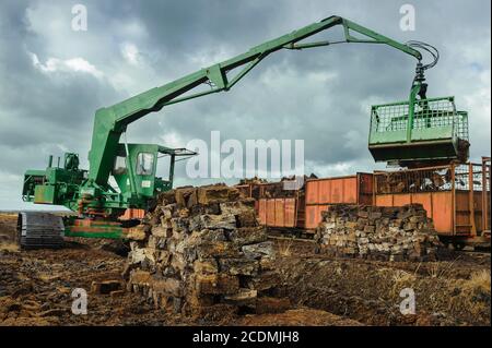 Accumulation de sodes de tourbe dans la tourbière, extraction de tourbe, chargement des sodes sèches avec une excavatrice sur chenilles, stockage de CO2, Goldenstedter Moor, Oldenburger Banque D'Images