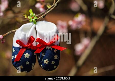 Chaussons bébé suspendu à une branche d'arbre en fleurs Banque D'Images