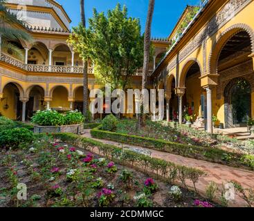 Patio avec colonnade, cour intérieure avec parterres à fleurs, palais andalou noble, Palacio de las Duenas, Séville, Andalousie, Espagne Banque D'Images