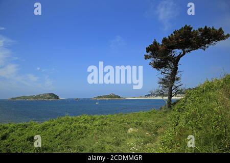 la plage de Tresseur à Trebeurden, Côte de Grani Banque D'Images