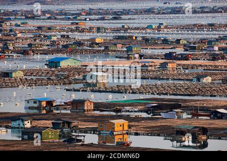 Ville flottante dans la baie, maisons sur des constructions en bambou avec des aquacultures, Xiapu, Chine Banque D'Images