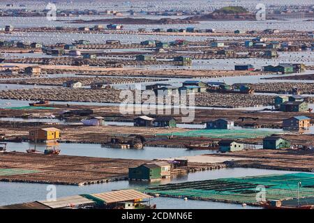 Ville flottante dans la baie, maisons sur des constructions en bambou avec des aquacultures, Xiapu, Chine Banque D'Images