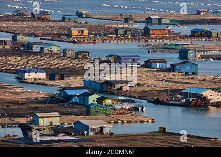 Ville flottante dans la baie, maisons sur des constructions en bambou avec des aquacultures, Xiapu, Chine Banque D'Images