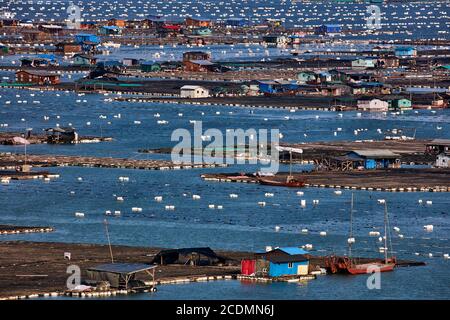 Ville flottante dans la baie, maisons sur des constructions en bambou avec des aquacultures, Xiapu, Chine Banque D'Images